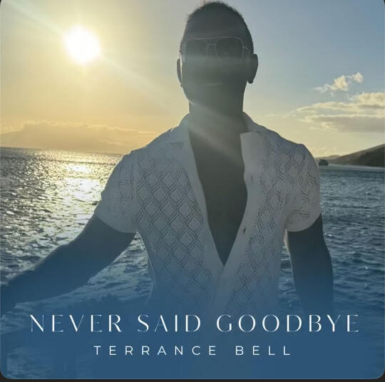 Never Said Goodbye
